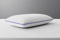 Loren Williams Active Cool Pillow