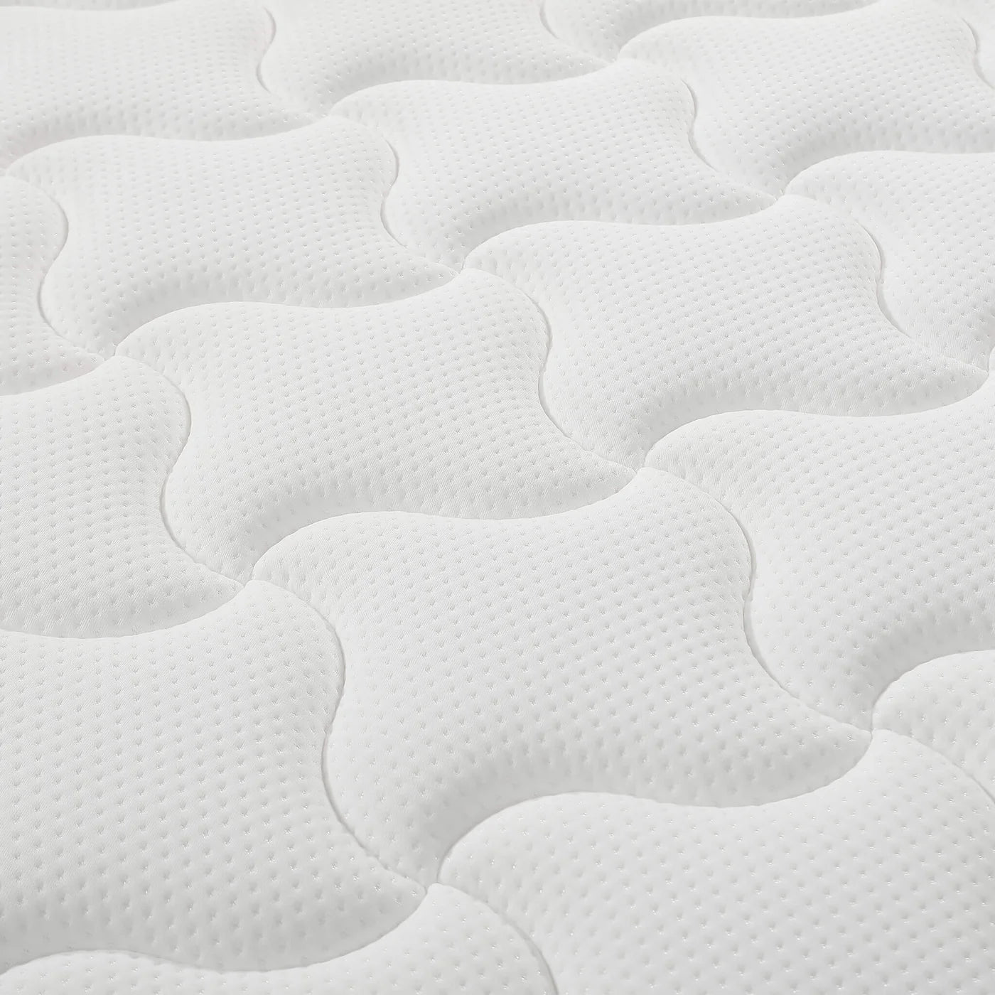 Loren Williams Chiro Collective Posture care+ Mattress