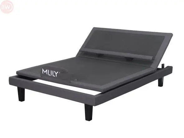 IActive 40M Adjustable base